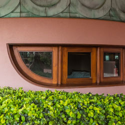 Close-up of window of building