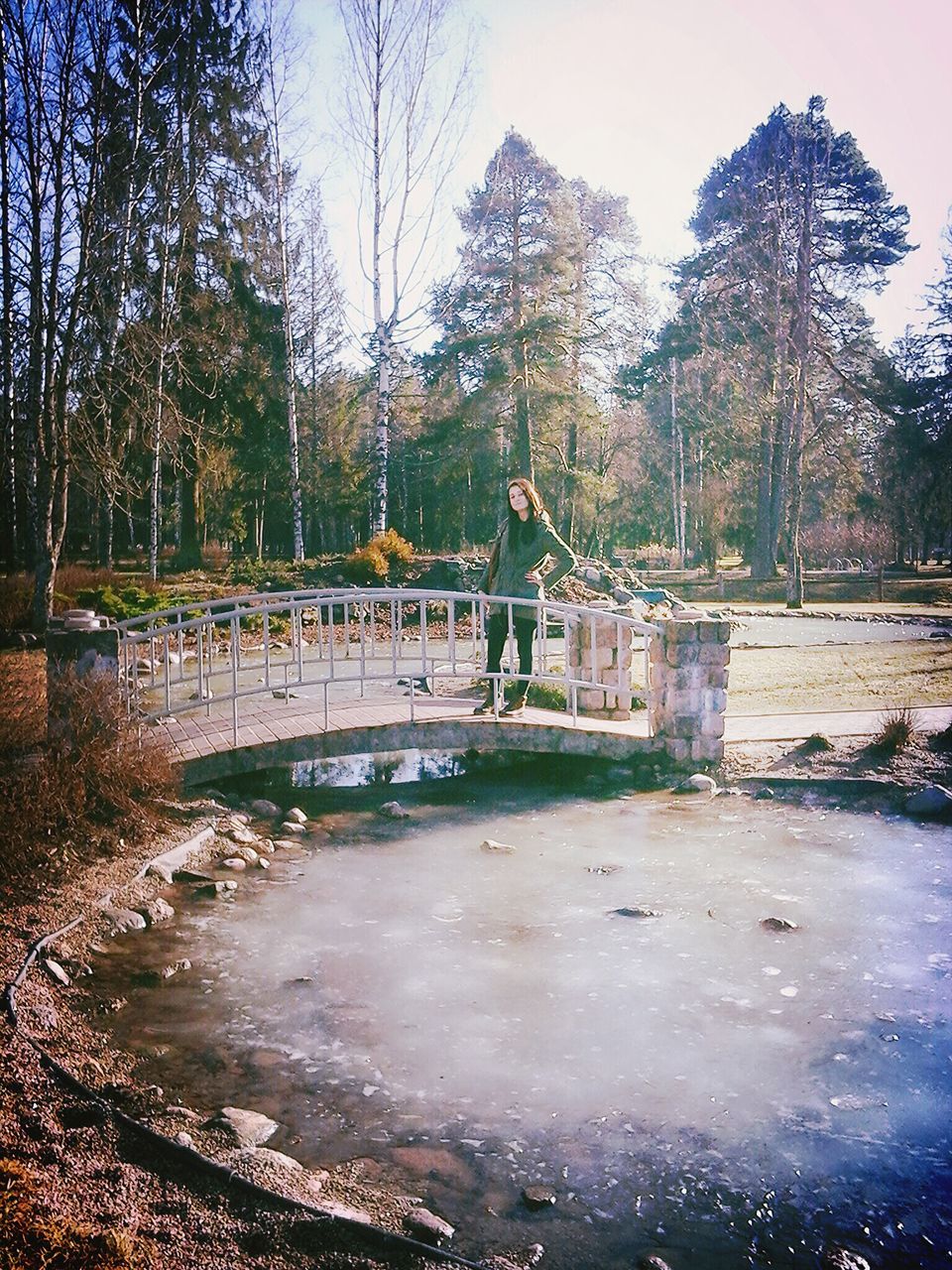 tree, water, park - man made space, built structure, bridge - man made structure, architecture, nature, tranquility, fountain, pond, growth, river, connection, park, day, travel destinations, incidental people, sunlight, scenics, tranquil scene