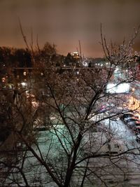 Bare trees and buildings against sky at night