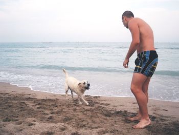 Shirtless young man playing with dog at seashore