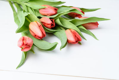 High angle view of red roses on table