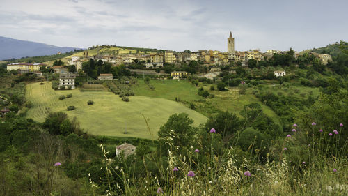 Panoramic view of trees and buildings against sky