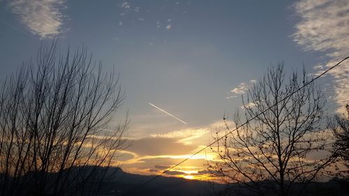 Close-up of silhouette tree against sky at sunset