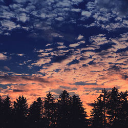 Low angle view of silhouette trees against sky during sunset