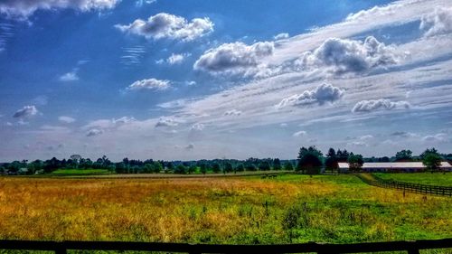 Scenic view of field against sky