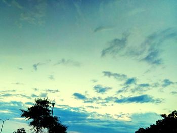 Low angle view of tree against sky