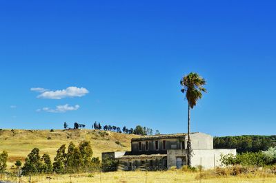 Houses and trees against clear blue sky