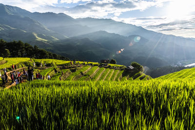 Scenic view of field against sky