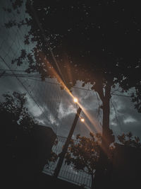 Low angle view of silhouette trees against sky at night