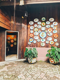 Potted plants on wall