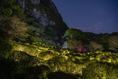 Scenic view of land against sky at night