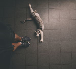 Low section of man on tiled floor