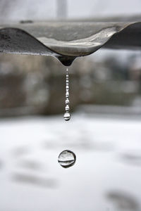 Close-up of water drop