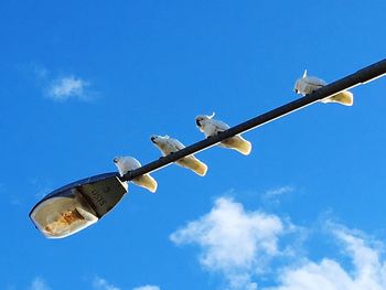 Low angle view of street light against sky