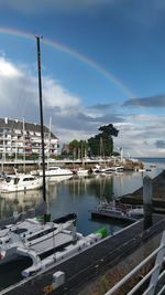 Sailboats moored at harbor