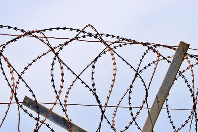 Barbed wire