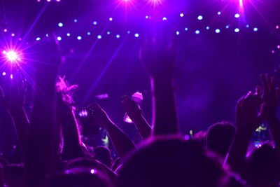 Crowd at music concert