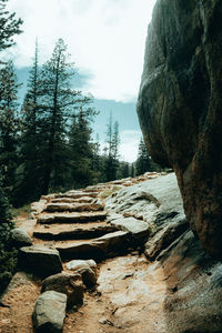 Stack of logs on rock in forest against sky