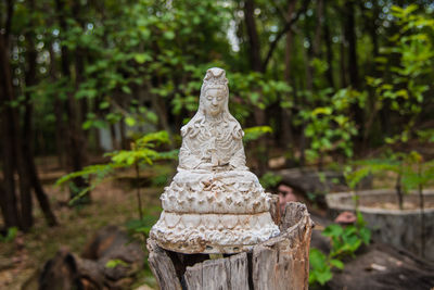 Statue of buddha in forest