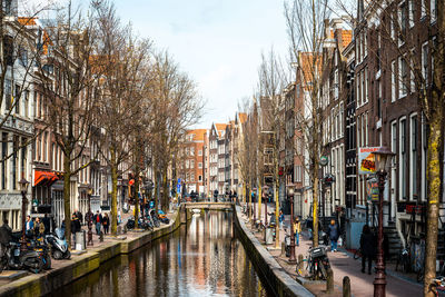 Canal amidst bare trees in city