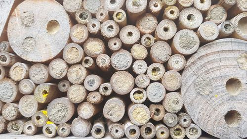 Full frame shot of logs in forest