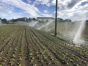 Sprinkler irrigation on plowed field
