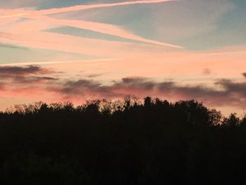 Silhouette trees in forest against sky at sunset