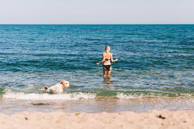 Full length of dog on beach