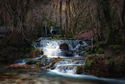 Waterfall in forest