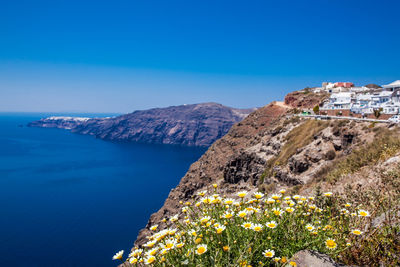 Spring flowers and the aegean sea seen from the walking trail number 9 between fira and oia