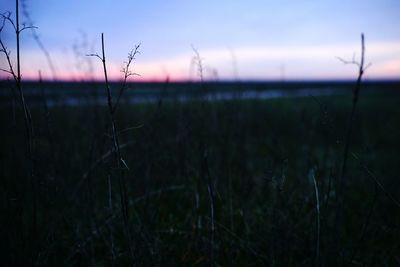 Scenic view of field against sky at sunset