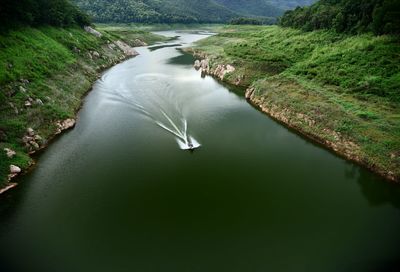 High angle view of river amidst trees in forest