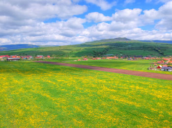 Scenic view of agricultural field against sky