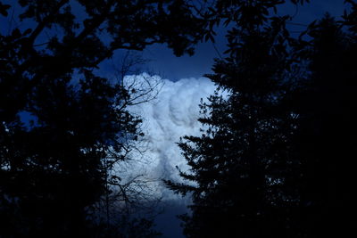 Low angle view of silhouette trees against blue sky