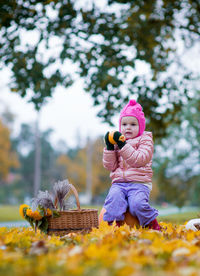 Cute girl looking away while sitting on pumpkin over autumn leaves against trees at public park