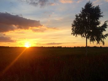 Scenic view of field against sky during sunset