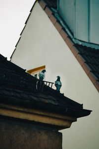 architecture