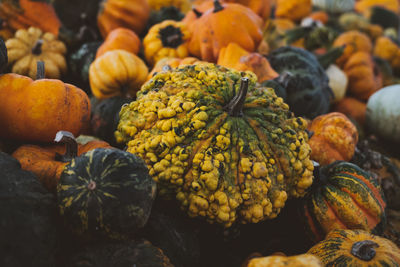 Full frame shot of pumpkins