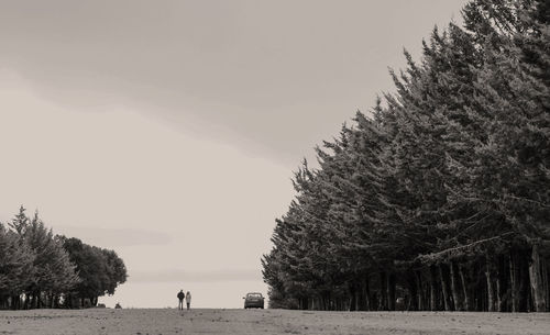 Trees on field against clear sky during winter