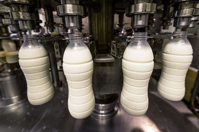 Close-up of wine bottles filled with milk on machinery