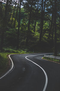 Road amidst trees in forest