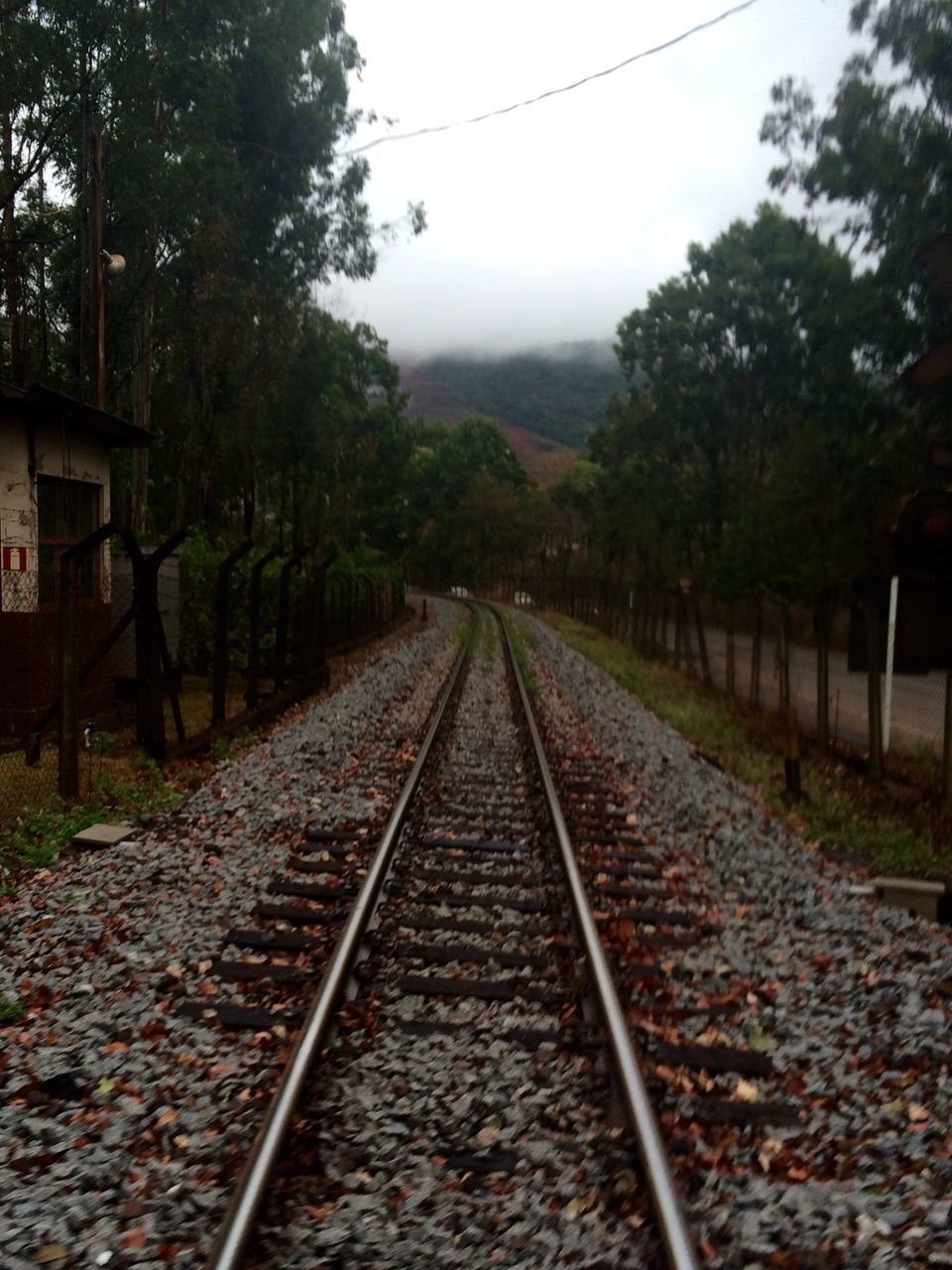 railroad track, tree, rail transportation, the way forward, transportation, outdoors, nature, day, no people, sky, scenics, beauty in nature