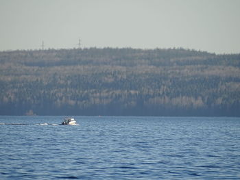 Boat sailing on sea against clear sky