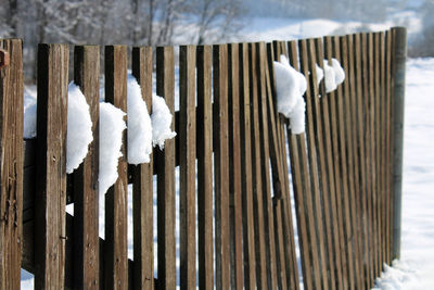 Close-up of snow on wood against wall