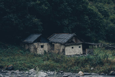 Abandoned house on field by trees in forest