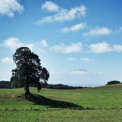 Scenic view of grassy field against cloudy sky