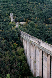 View of historical building in forest