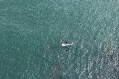 High angle view of man paddleboarding on sea