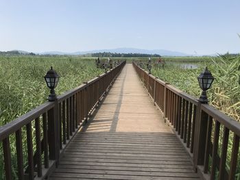 View of footbridge along plants