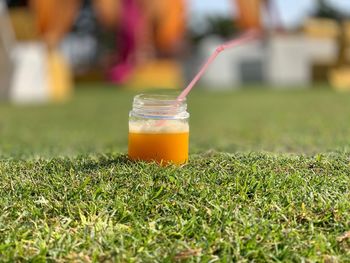 Close-up of wine glass on field